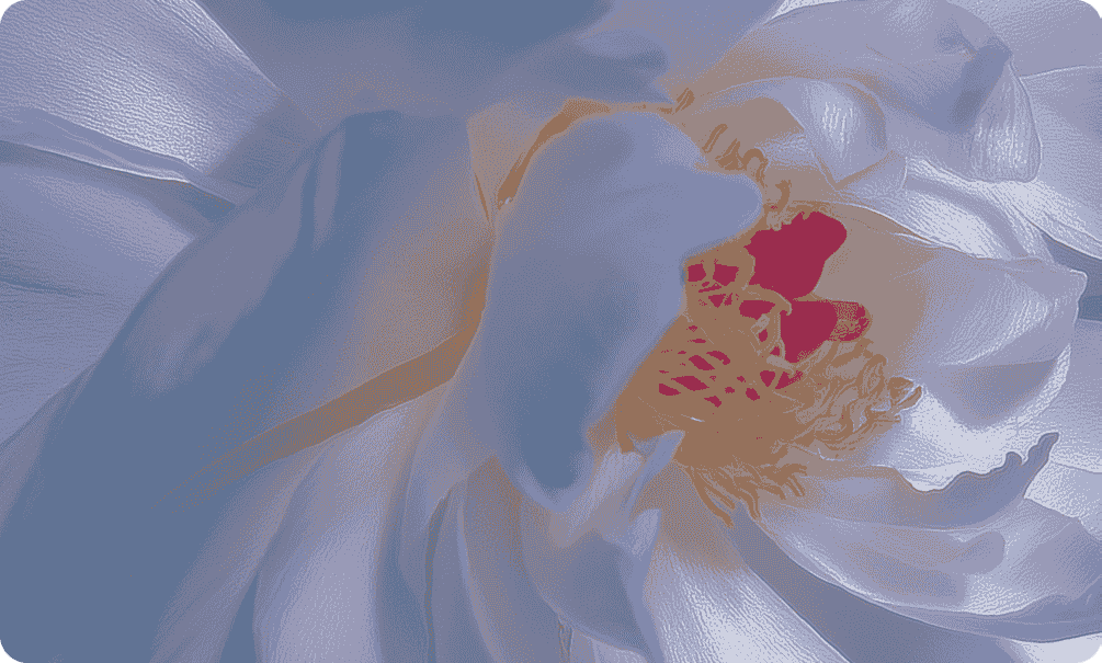 Soft Floral gift card design